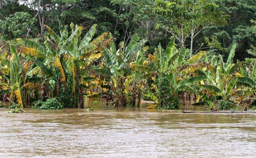 FAEA apresenta pleitos ao governo estadual em apoio ao produtor rural diante da enchente