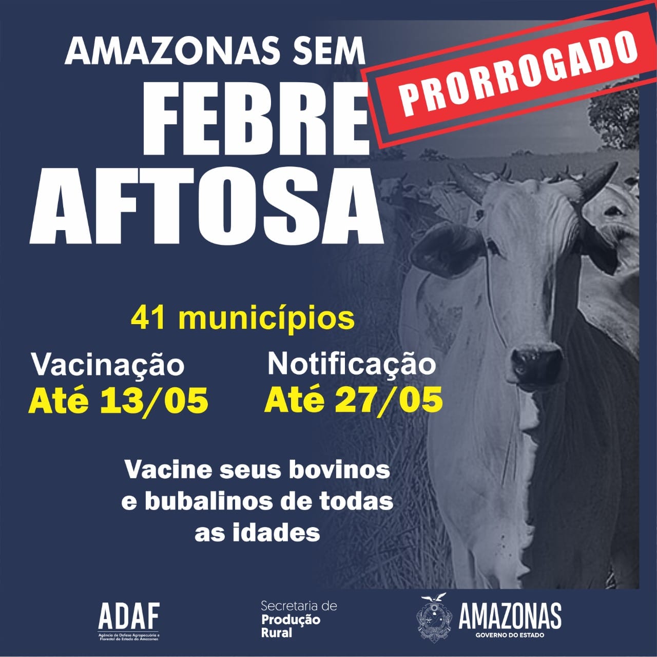 Em atendimento a pleito  da FAEA, campanha de vacinação contra febre aftosa é prorrogada no Amazonas
